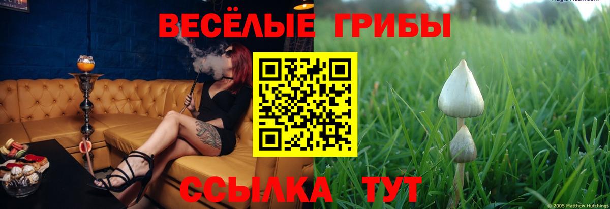 Лесной  Галлюциногенные грибы Magic Shrooms  Вход с VPN 